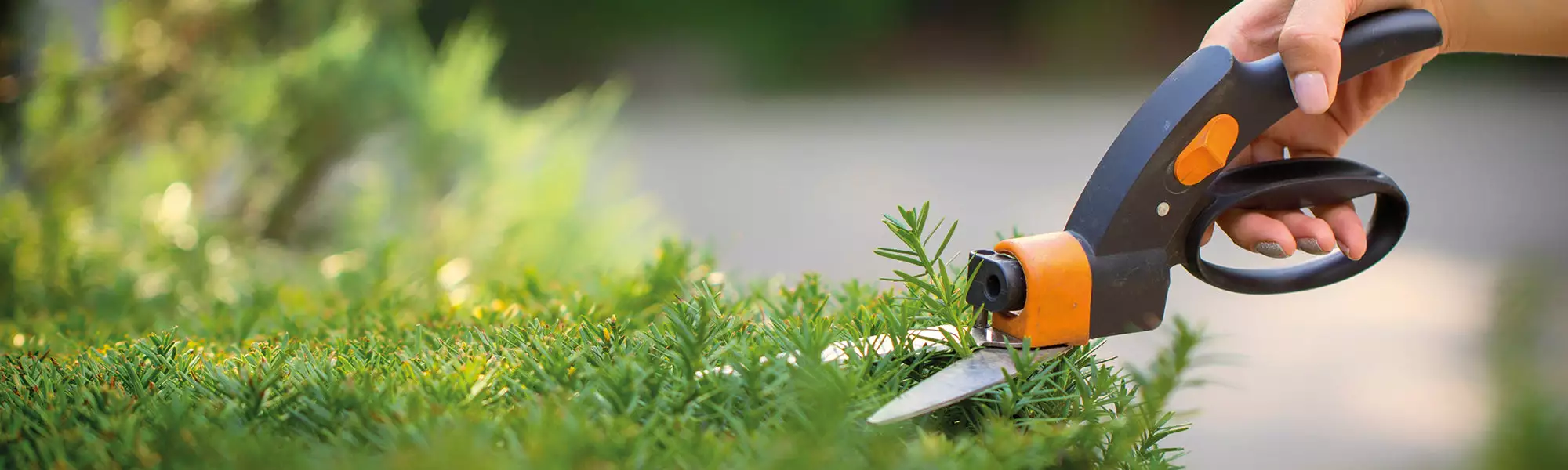 outil de jardin Soldes Magasin -outil de jardin Soldes Magasin shp entretien 0c375dcf dac1 43fb b49c 6d0fa3e12e2d 1